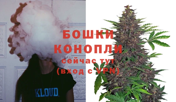 эйфоретик Белокуриха